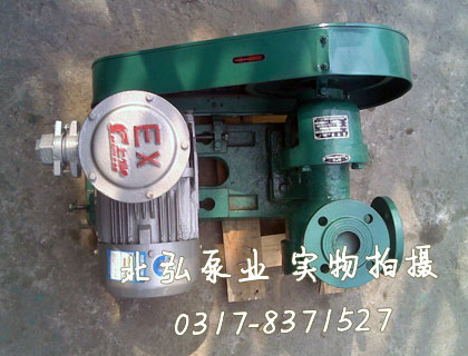 NCB型内啮合好色软件大全